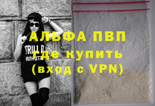 СК Валдай